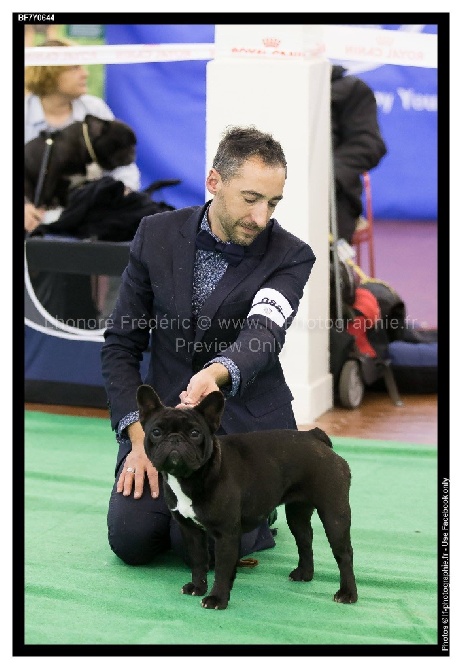 Du Val De Capsil - NATIONALE d'ELEVAGE ANGERS 2016